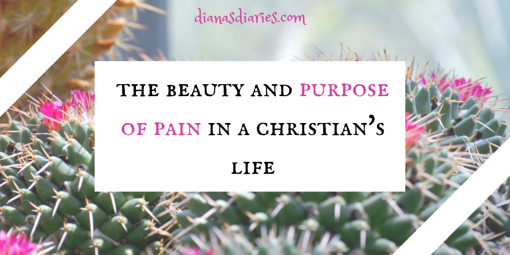 The beauty and purpose of pain in Christian life - Diana's Diaries